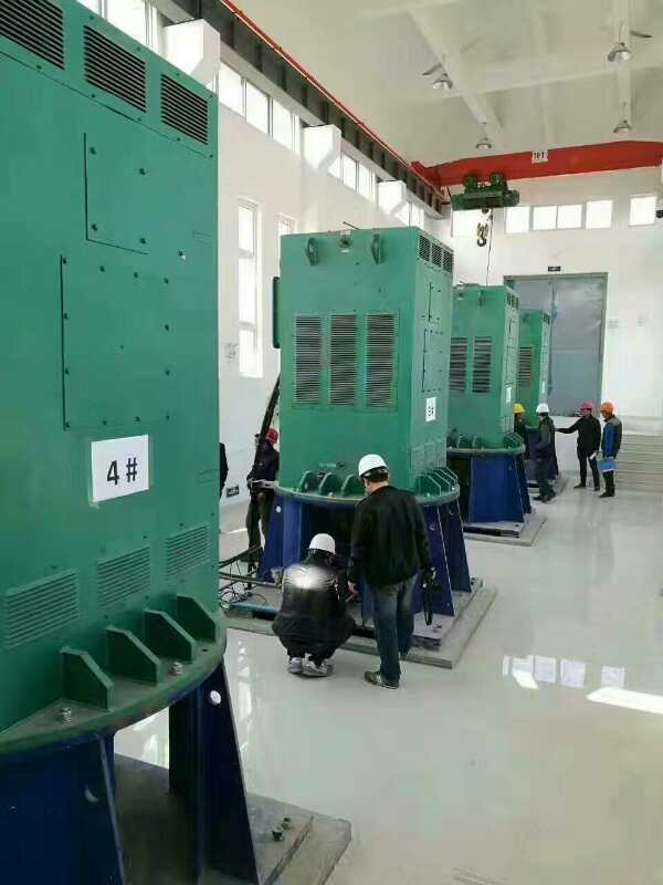 龙门镇某污水处理厂使用我厂的立式高压电机安装现场